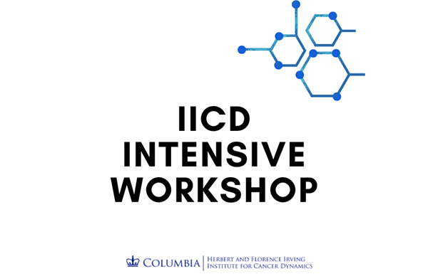 IICD Intensive Workshop