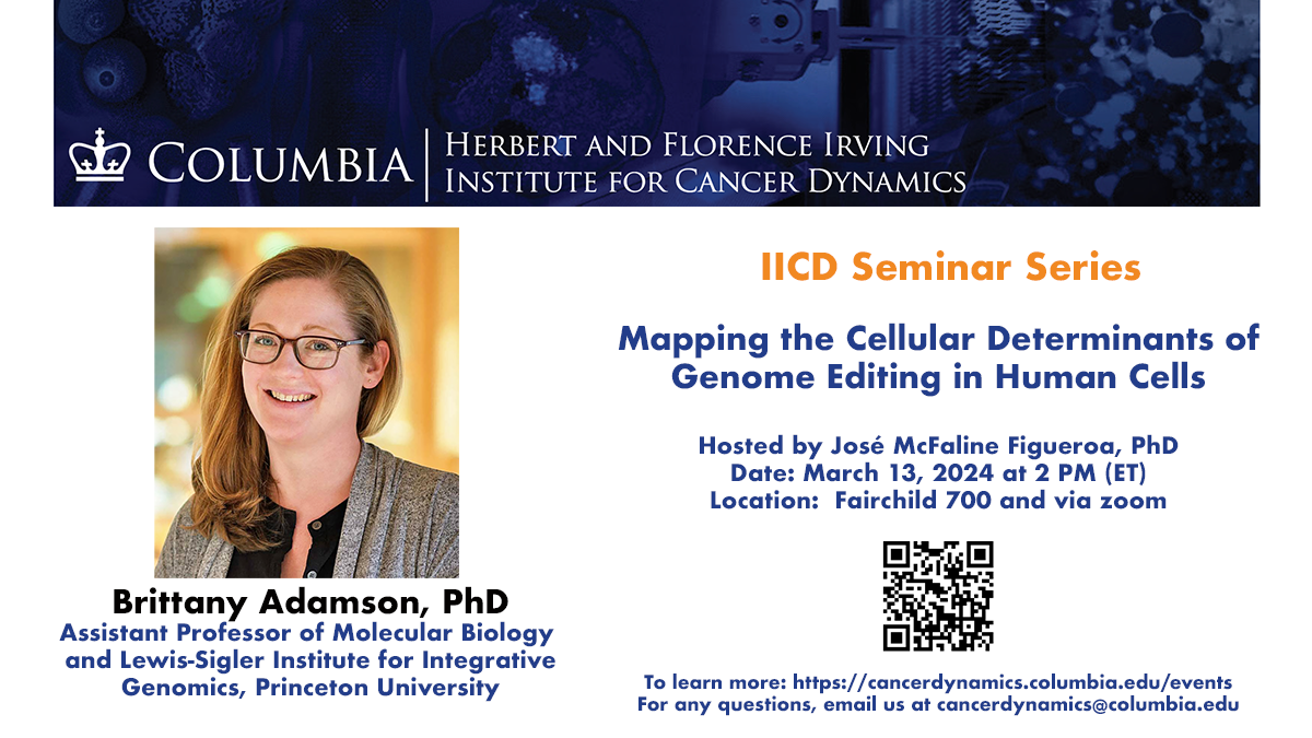 Flyer for IICD Seminar Series: Brittany Adamson, Princeton University
