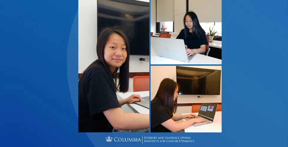 In the three pictures, Chenjishi Lin is working on a laptop in a conference room.  Legend: Chenjishi Lin