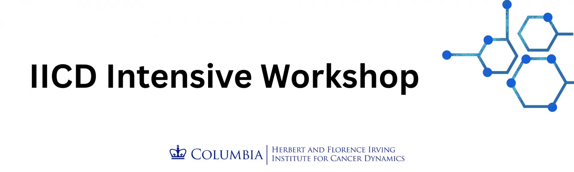 Flyer for IICD Intensive Workshops