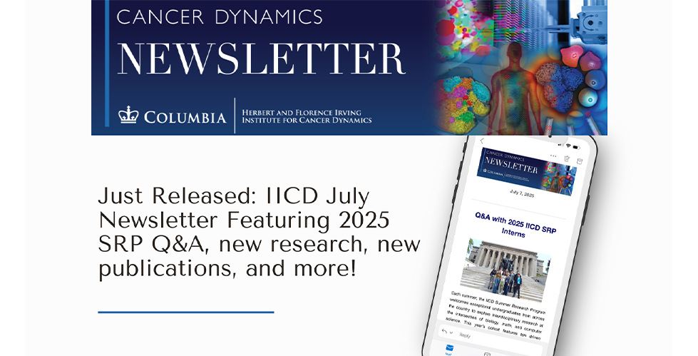 IICD Newsletter for July 2025 banner