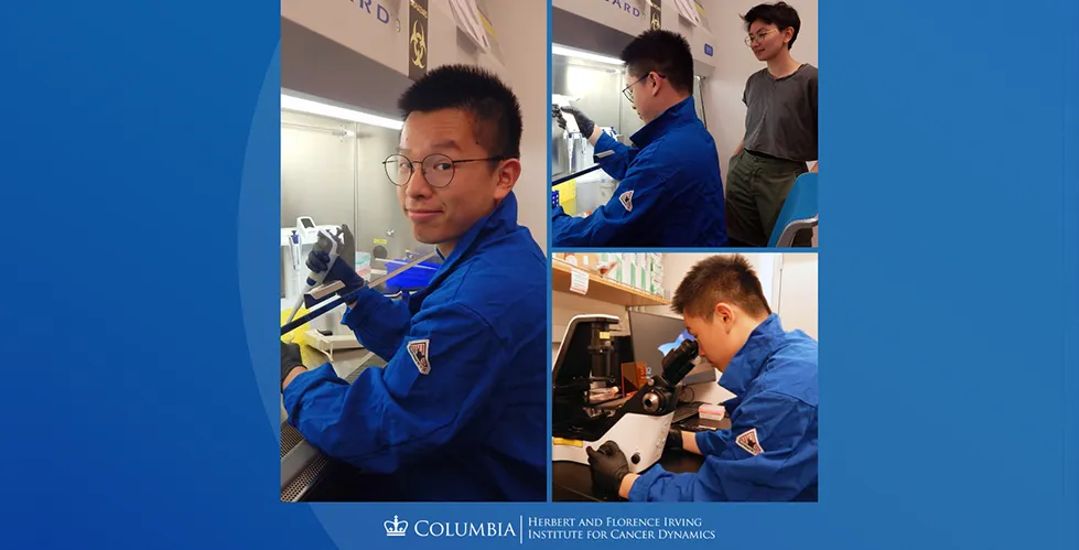 On the left, Jun Lin is holding a pipette and doing an experiment in a biosafety cabinet. In the top right picture, Jun Lin and Aubrianna Decker are in the lab. In the bottom right picture, Jun is looking into a microscope.