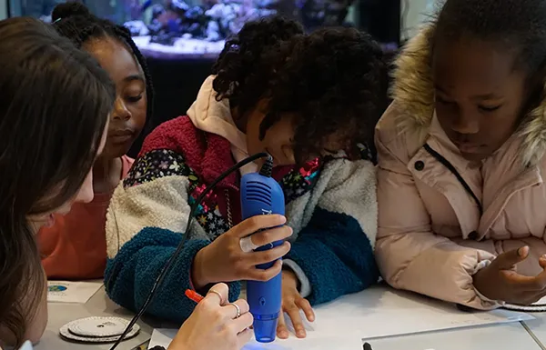 Kids deciphering invisible ink messages