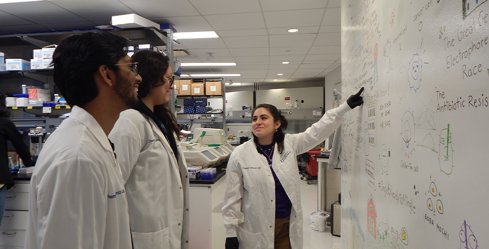 Three students looking at a whiteboard in a laboratory.