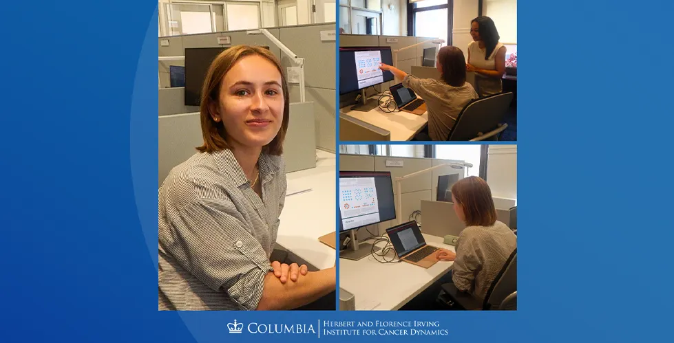 On the left, Sophia Gardiner is working at a desk. In the top right picture, Sophia is discussing with Brittani Wright. In the bottom right picture, Sophia is sitting at a desk and working on a laptop. 