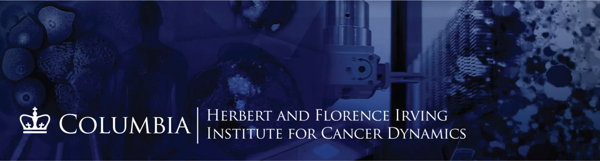 IICD Banner