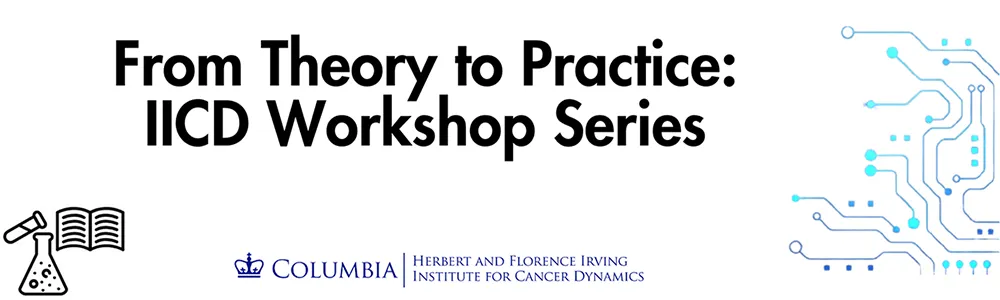 Flyer for IICD Workshop Series: Parameter Estimation Workshop