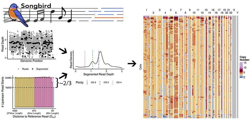 Figure illustrating Songbird, a flexible genome copy number caller. 