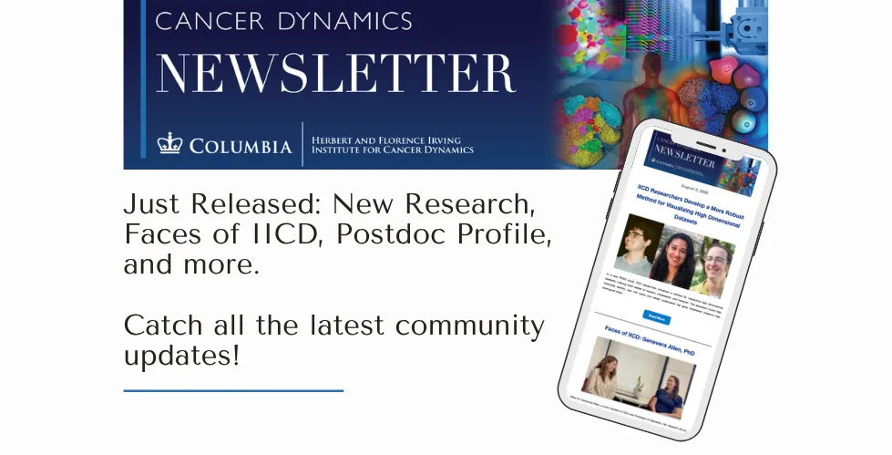 banner for IICD Newsletter August 2026