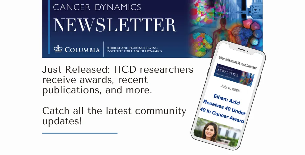 IICD Newsletter July 2026