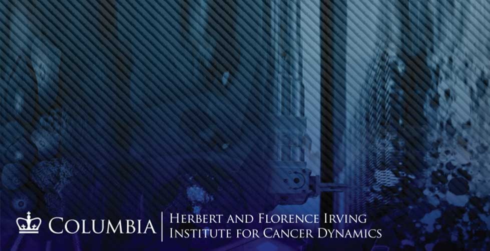 IICD Banner