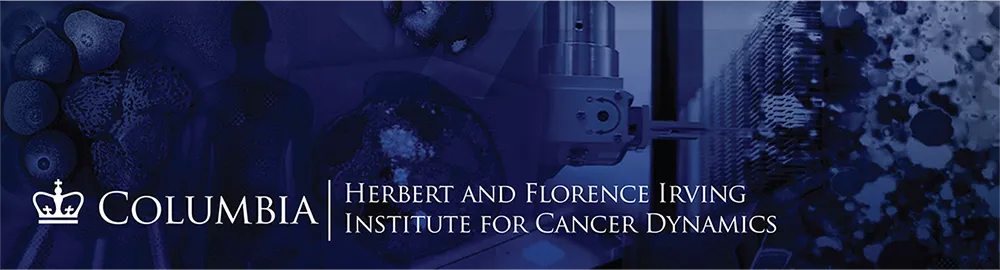 IICD Banner