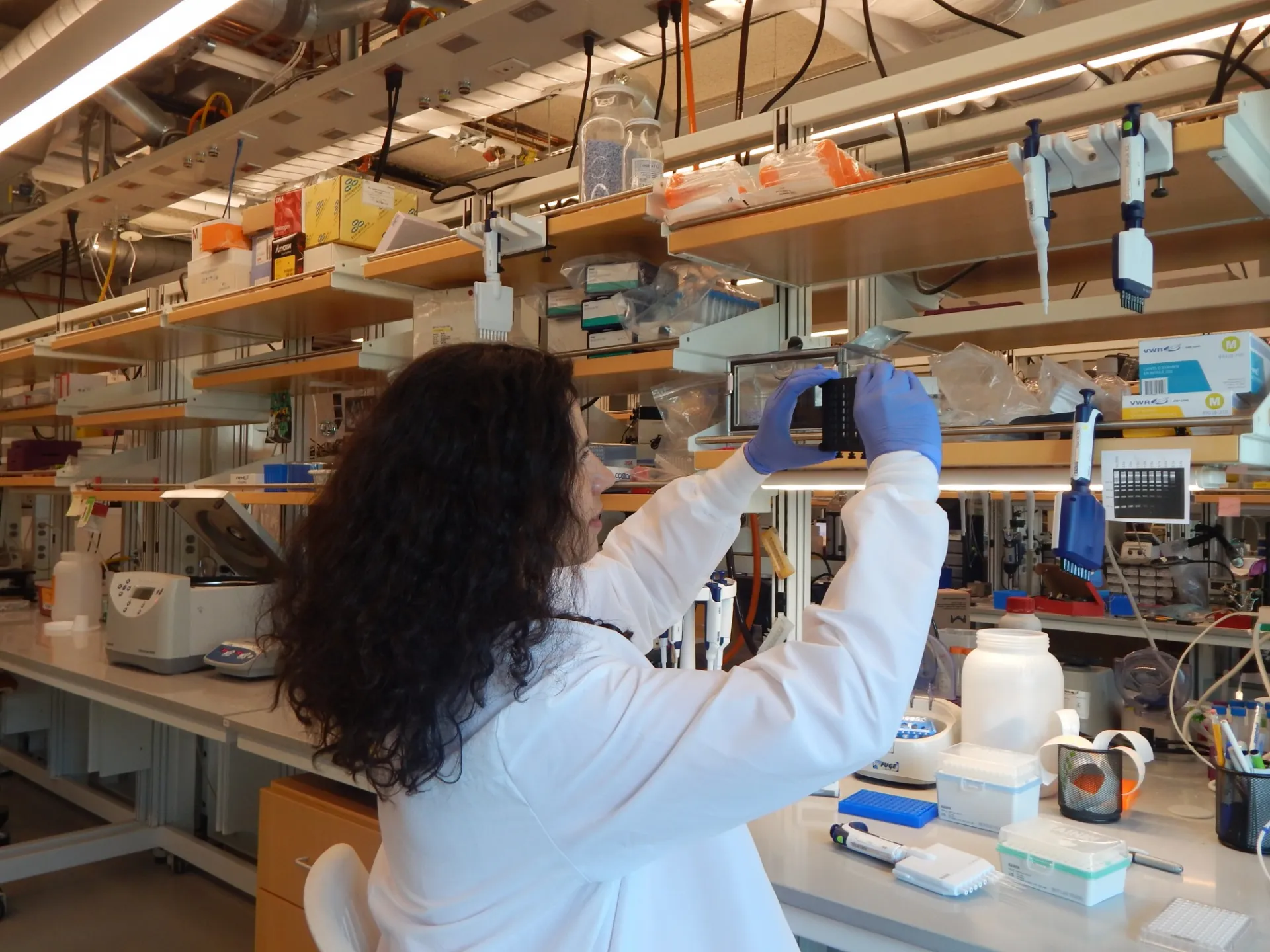 Dr. Sanja Vickovic holding a sequencing plate