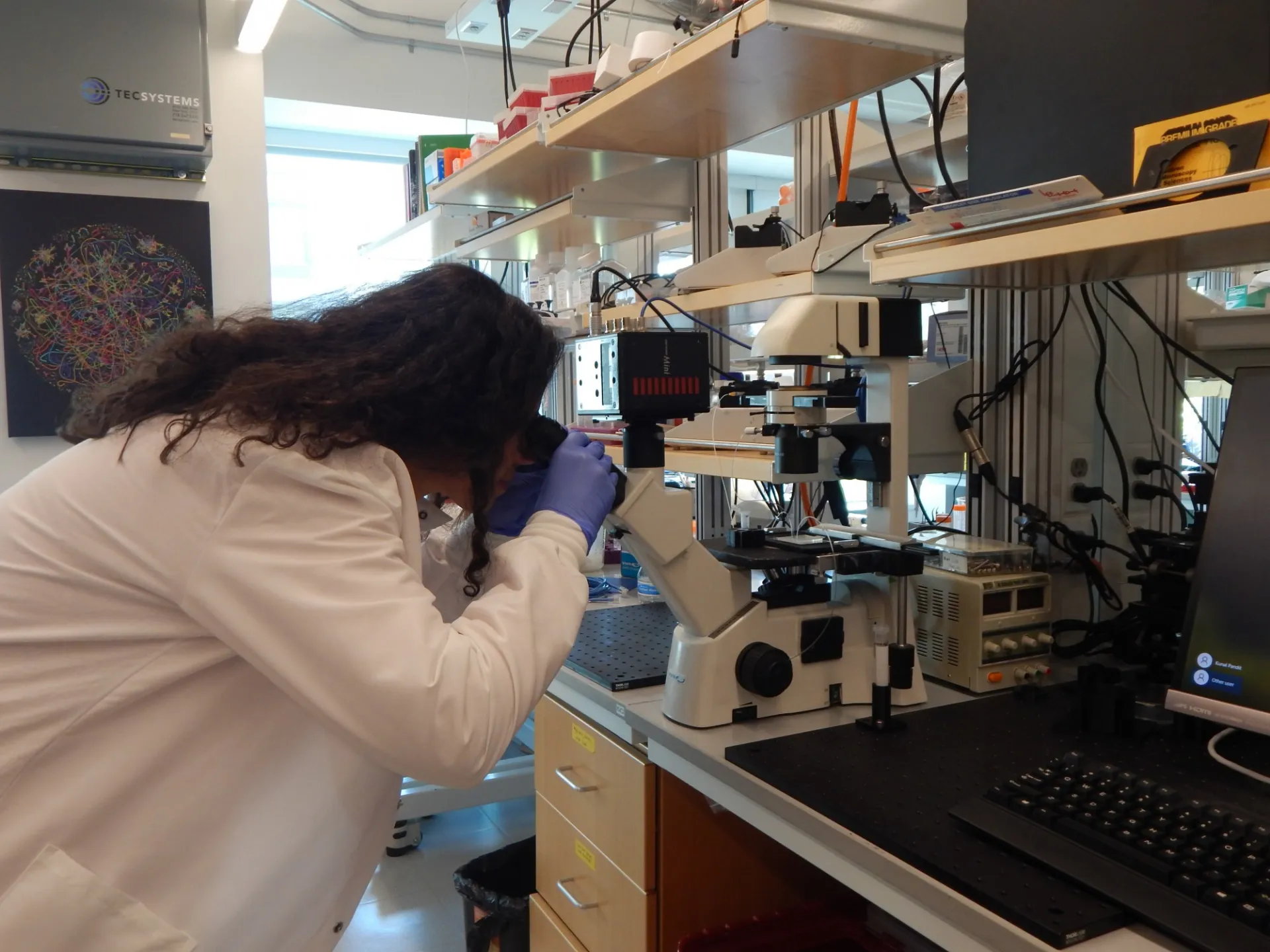 Dr. Sanja Vickovic looking in a microscope