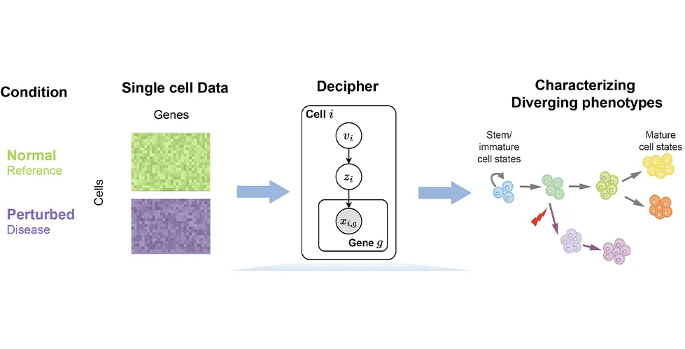 Schematic of the Decipher framework