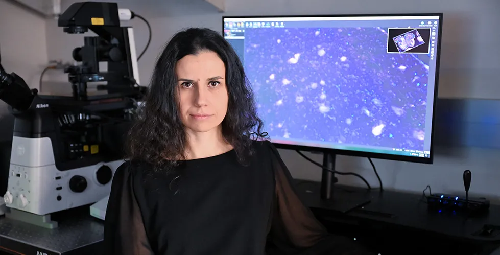 A photo of Sanja Vicković seated in front of a computer screen used for exploring tissue organization with imaging technologies.