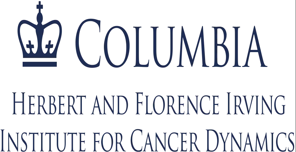 IICD Stacked Logo