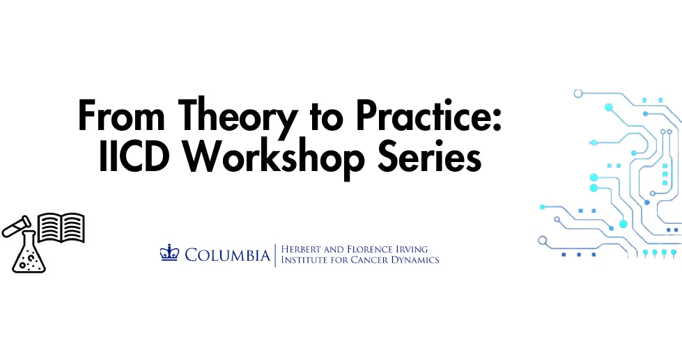 Banner for From Theory to Practice: IICD Workshop Series