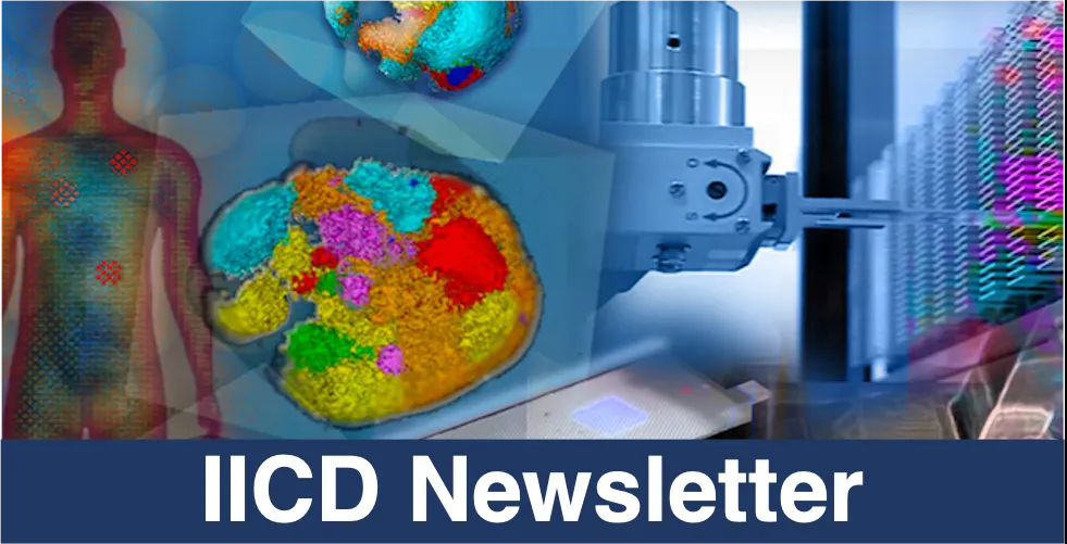 IICD Newsletter Banner