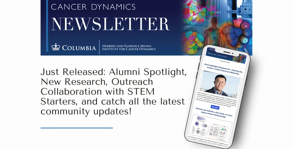 IICD Newsletter November 2025