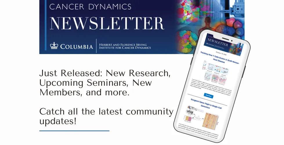 IICD Newsletter October 19 2026 Banner