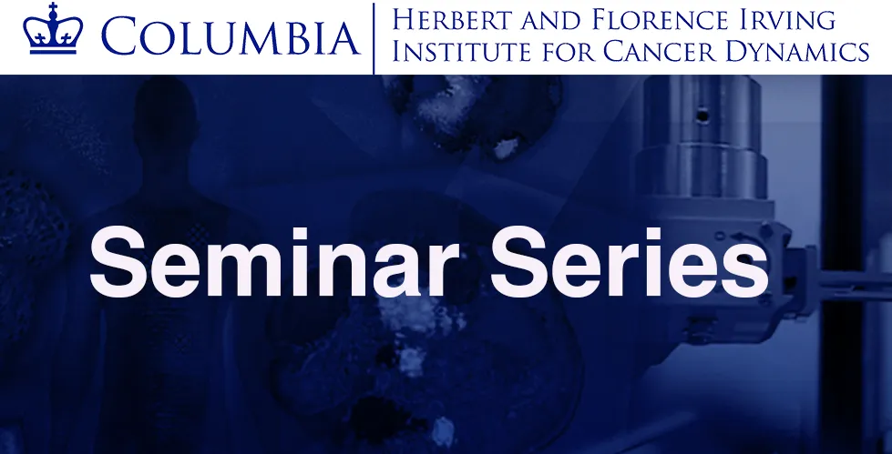 Flyer for IICD Seminar Series