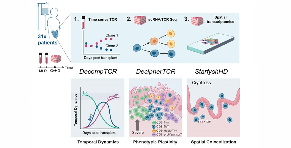 Figure illustrating “Spatiotemporal single-cell profiling reveals T cell clonal dynamics and phenotypic plasticity in human graft-versus-host disease,” including computational methods 