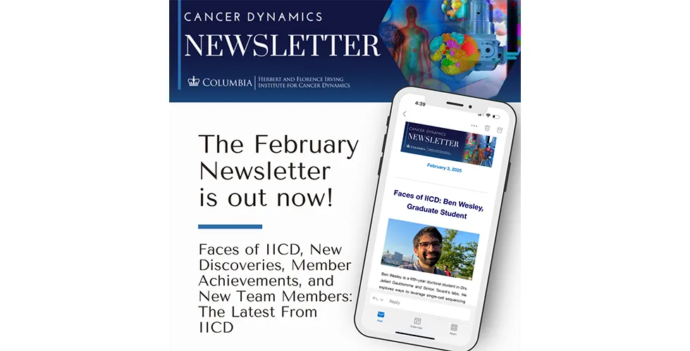 Banner for IICD Newsletter February 2025