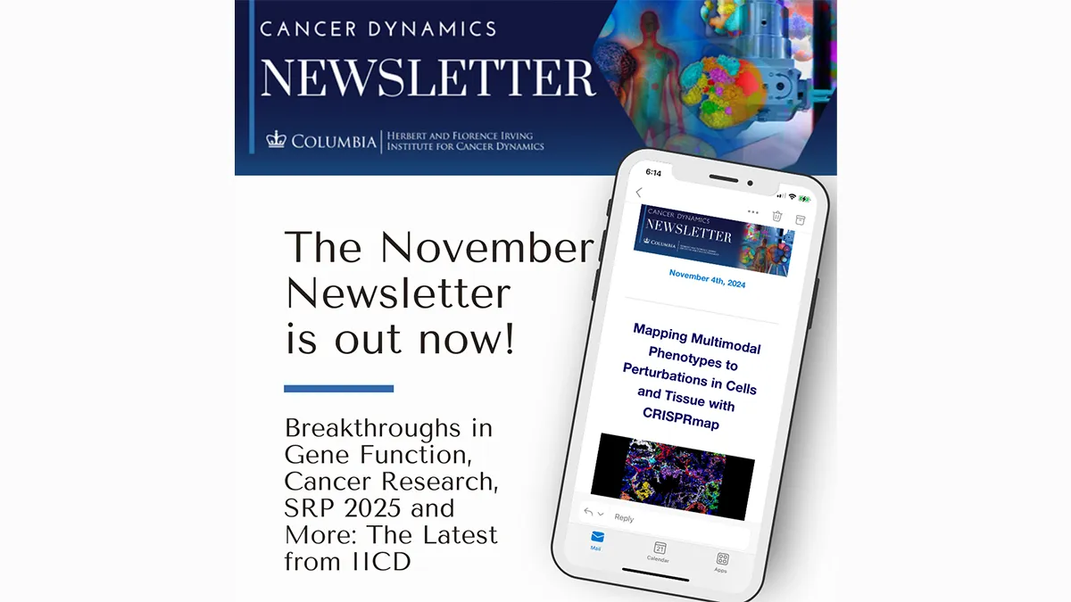IICD Newsletter November 2024