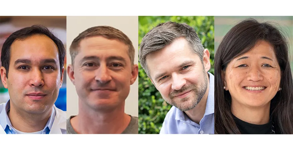 From left to right: Adam Bass, Silas Maniatis, Karol Nowicki-Osuch and Sandra Ryeom