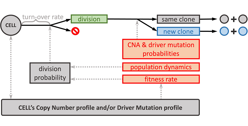 Diagram illustrating the CINner computational framework