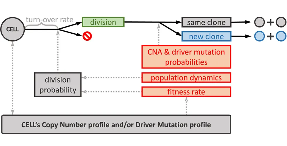 Diagram illustrating the CINner computational framework