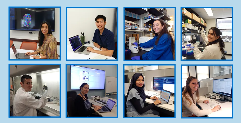From left to right, Hannah Boen, Andrew Chan, Noreen Hosny, Hannah Khanshali, Henry Kotkin, Anabel Ojeda, Nafisa Raisa, and Julia Rehring.