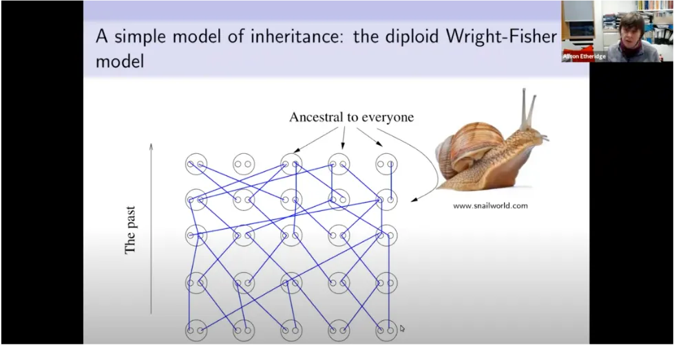 Alison Etheridge presenting her virtual lecture