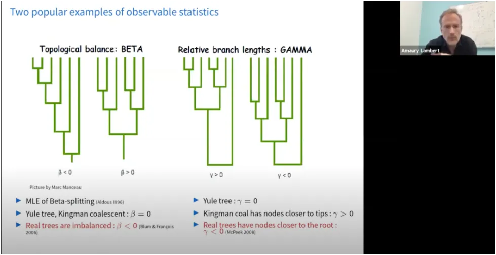 Amaury Lambert presenting his virtual lecture