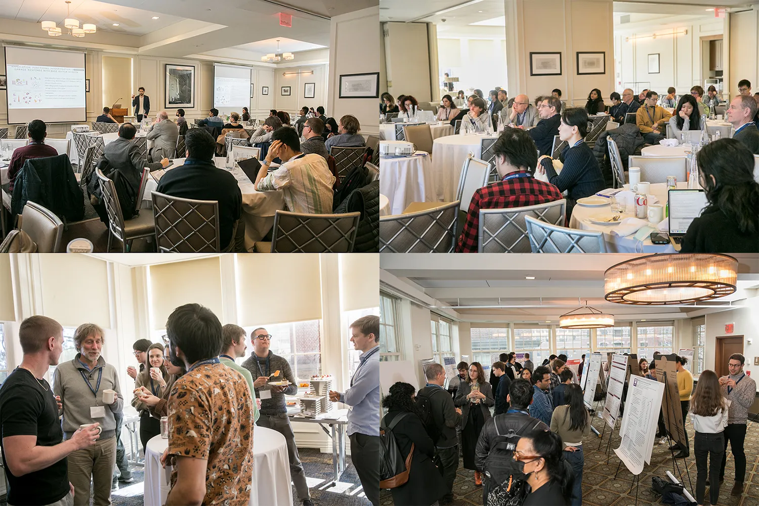 From left to right and top to bottom: Jellert Gaublomme presenting in front of an audience sitting at round tables, people sitting at round tables, people standing up and discussing while eating, people at a poster session