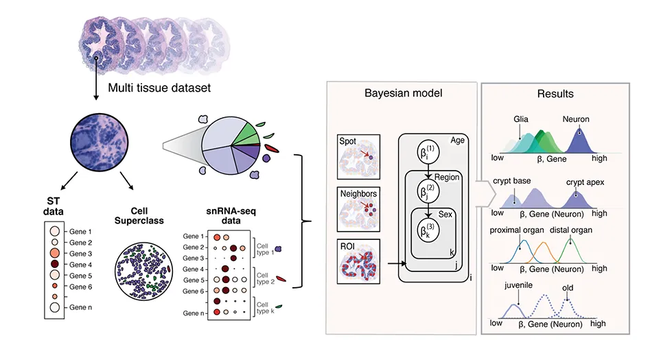 cSplotch Summary Schematic