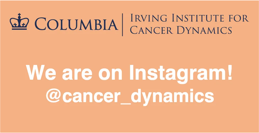 Name of IICD Instagram Account