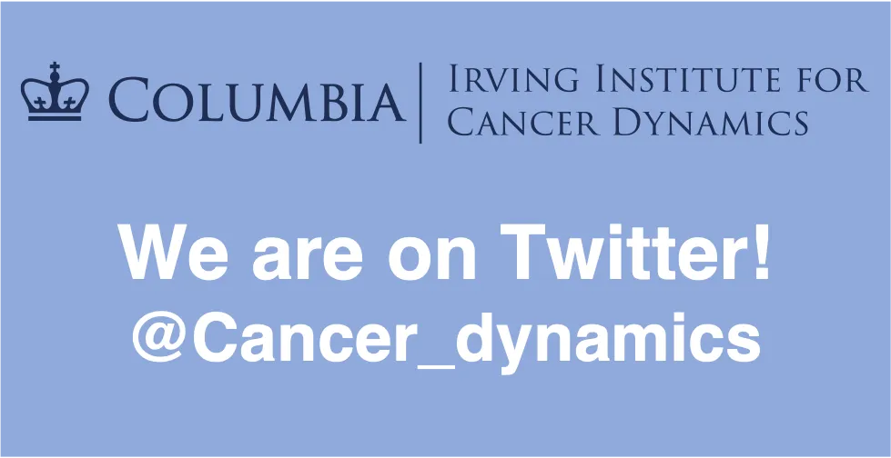 IICD Logo and Name of Twitter Account 