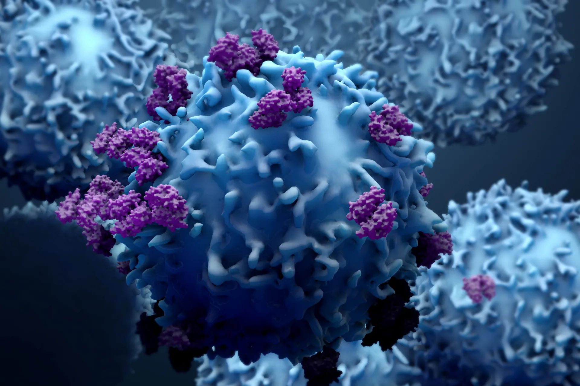 cover photo for cancer immunology