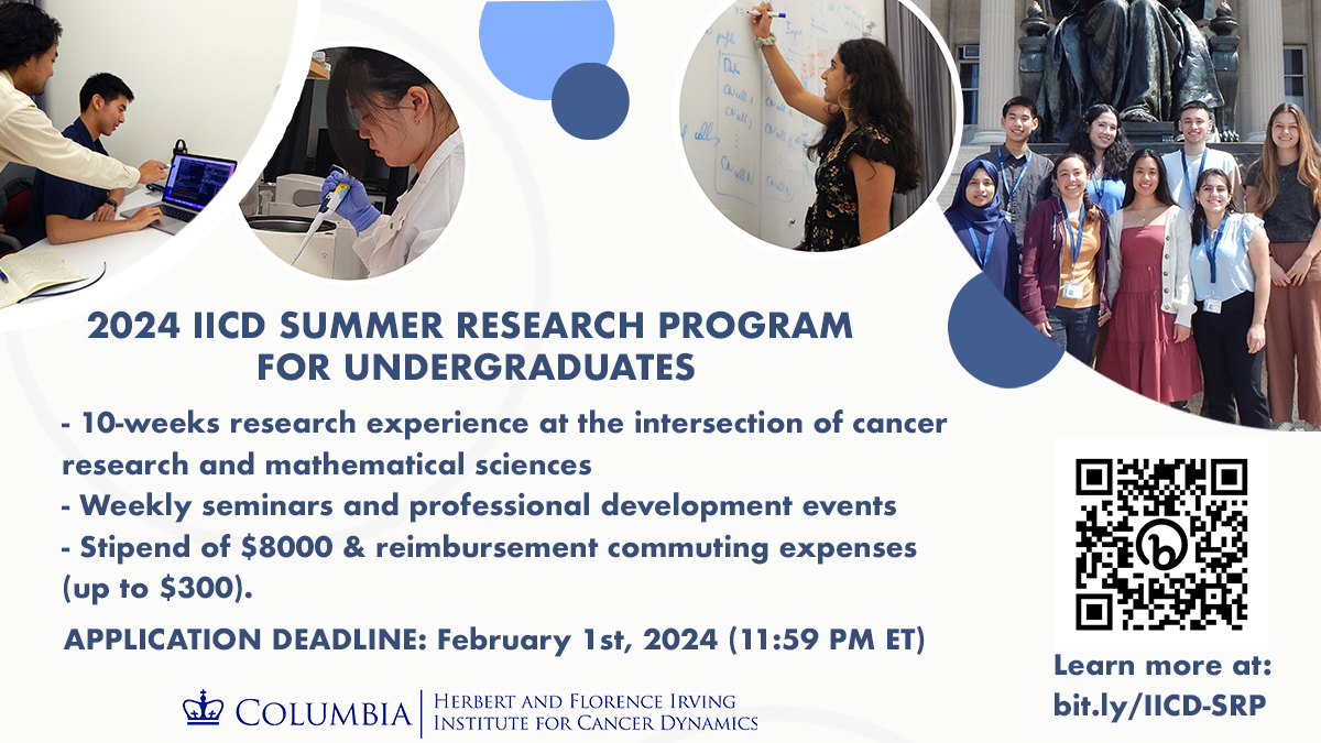 flyer for the 2024 IICD Summer Research Program