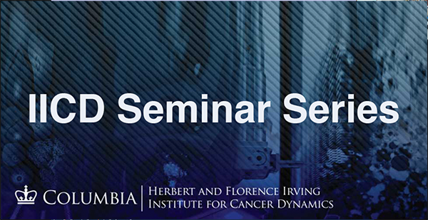 blue banner IICD Seminar Series