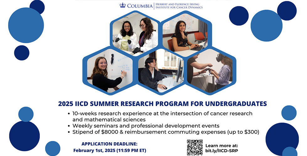 Flyer for 2025 IICD Summer Research Program for Undergraduates 