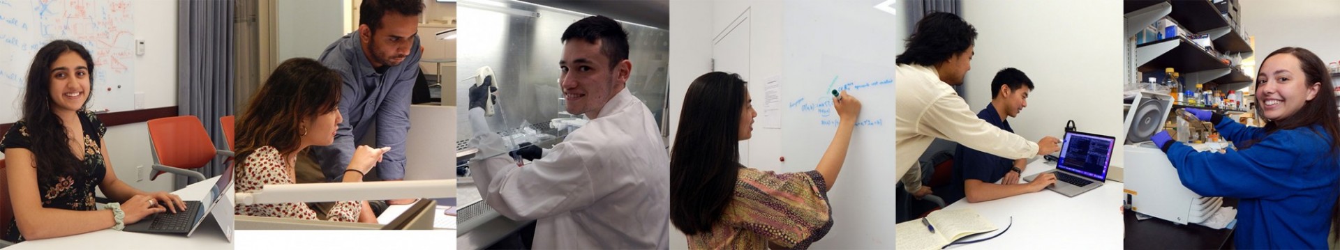 From left to right: a woman sitting at a laptop, a woman and a man discussing in front of a computer, a man pipetting under a lab hood, a woman writing on a white board, two men discussing and pointing at a laptop screen, a woman putting a sample in a centrifuge.