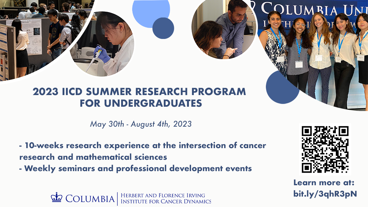 flyer for the 2023 IICD Summer Research Program