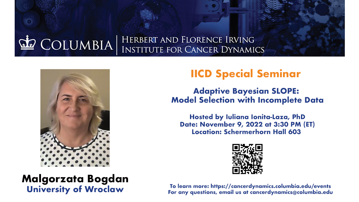 flyer for Malgorzata Bogdan seminar at IICD