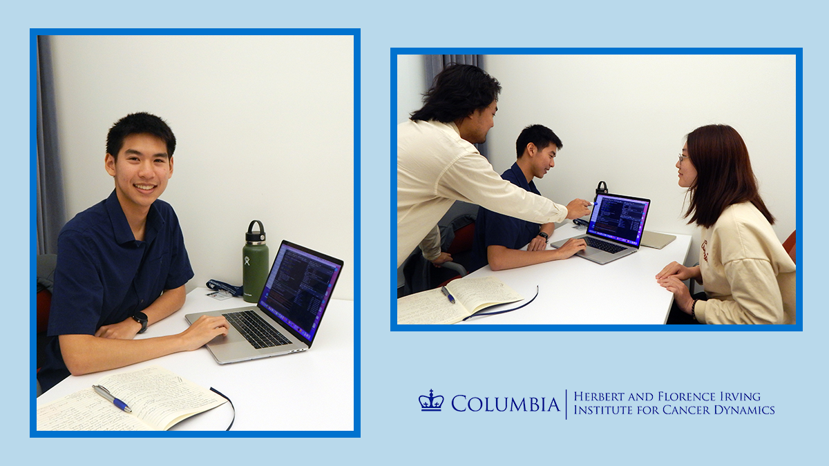 On the left, Andrew Chan sitting at a desk and working on a laptop. On the right, Andrew Chan discussing with Master student Zijin Xiang (right) and their mentor, Dr. Khanh Dinh (left).