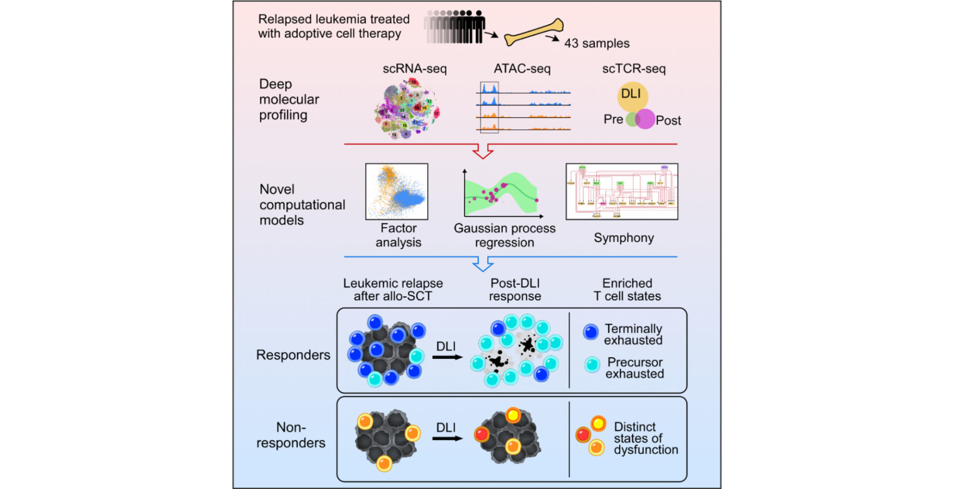 Mapping the Evolution of T Cell States During Response and Resistance to Adoptive Cellular Therapy
