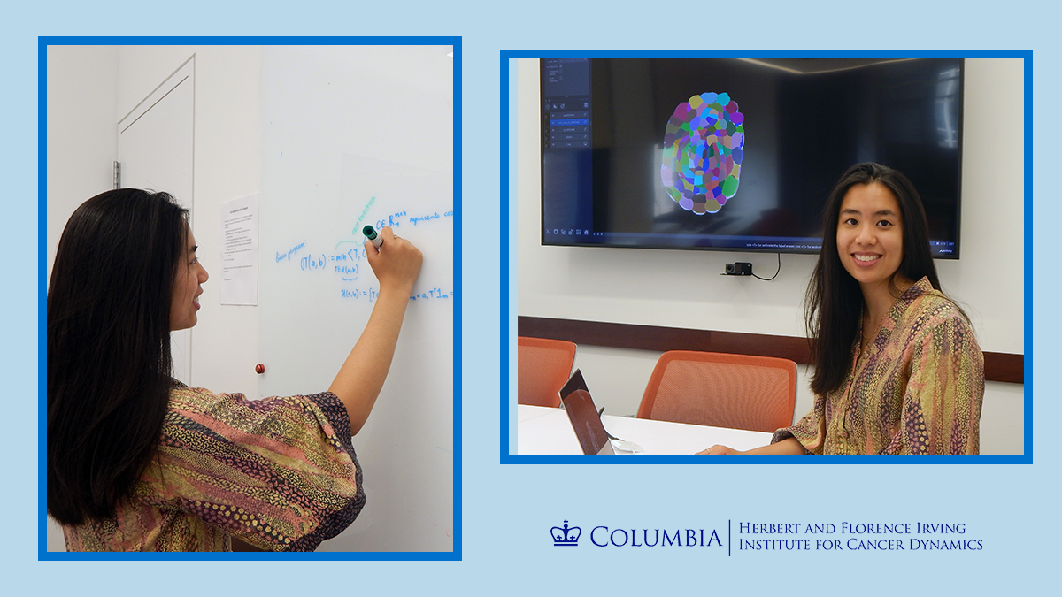 On the left, picture of Hannah Boen writing an equation on the whiteboard. On the right, picture of Hannah Boen sitting at a table with a laptop, and with a colorful image displayed on the monitor behind her. 