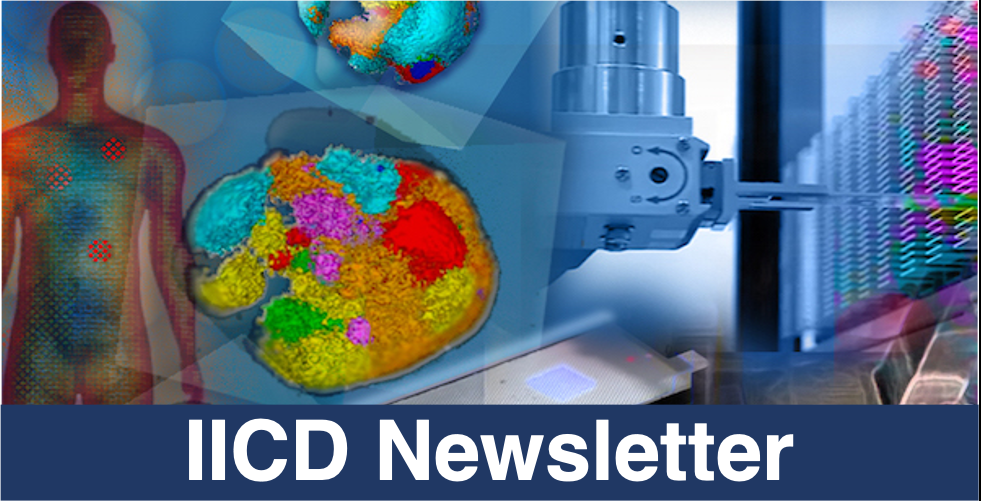 IICD Newsletter February 2020 IICD Newsletter Logo